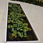 On The Cliff * Obzor